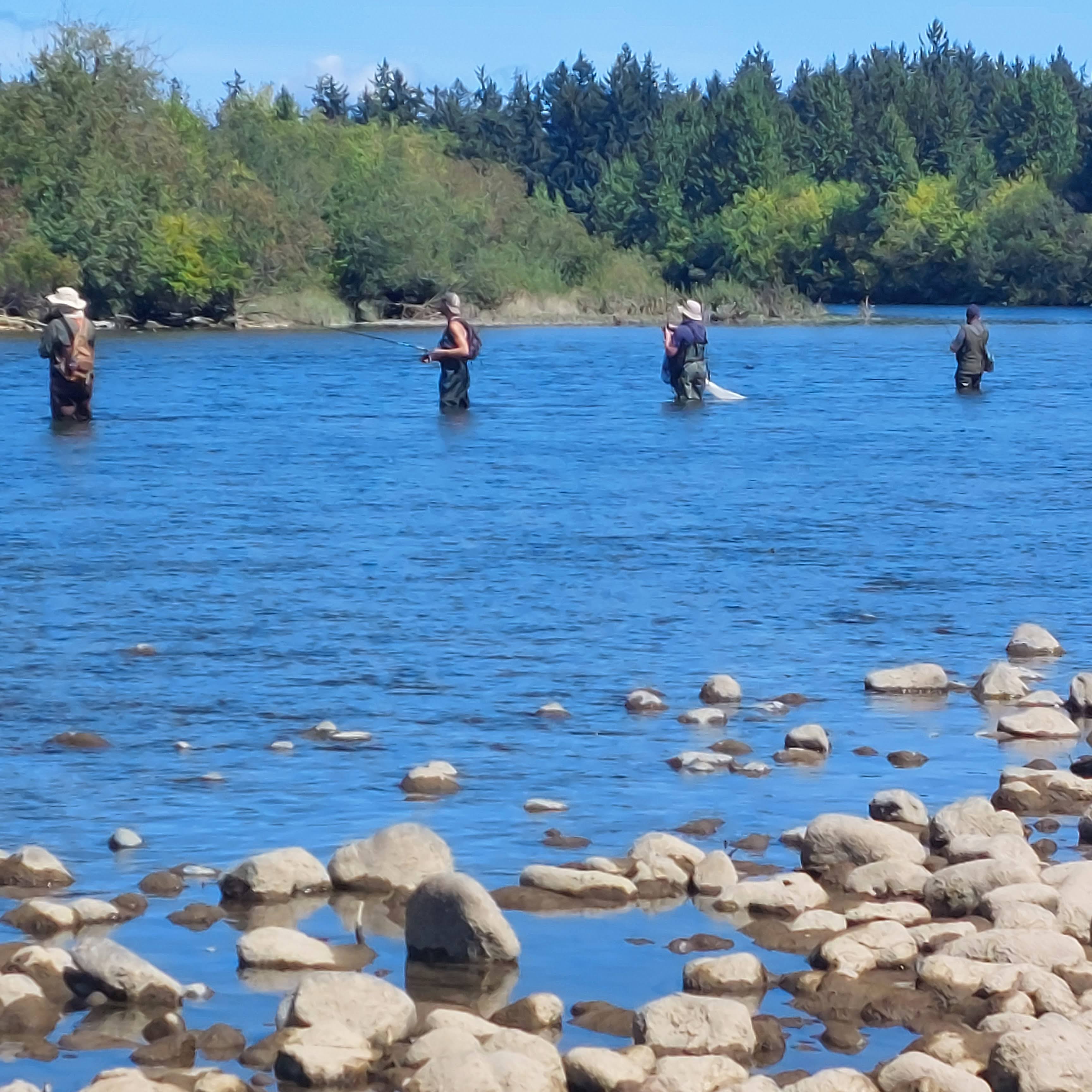 Fishing