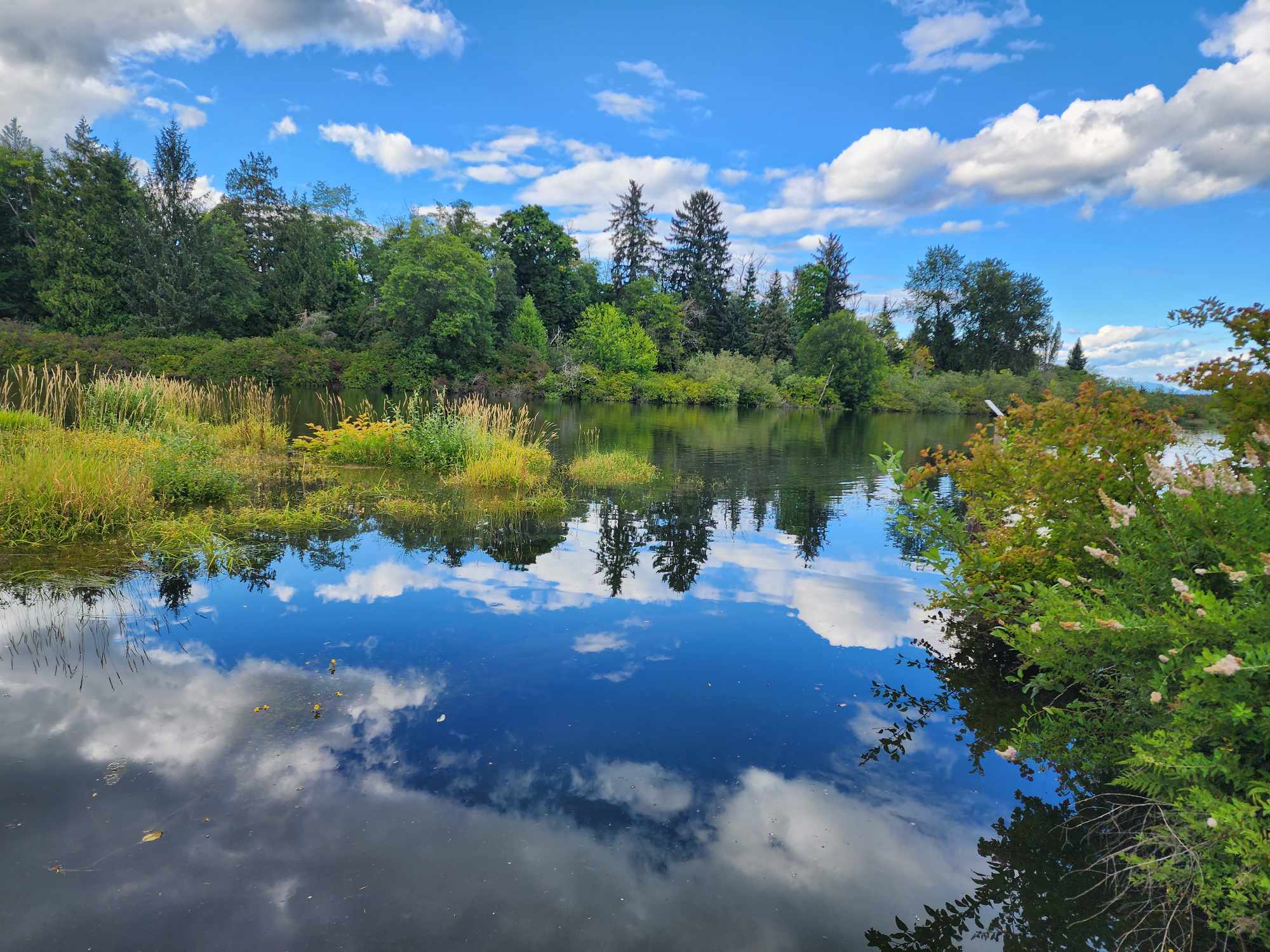 River View